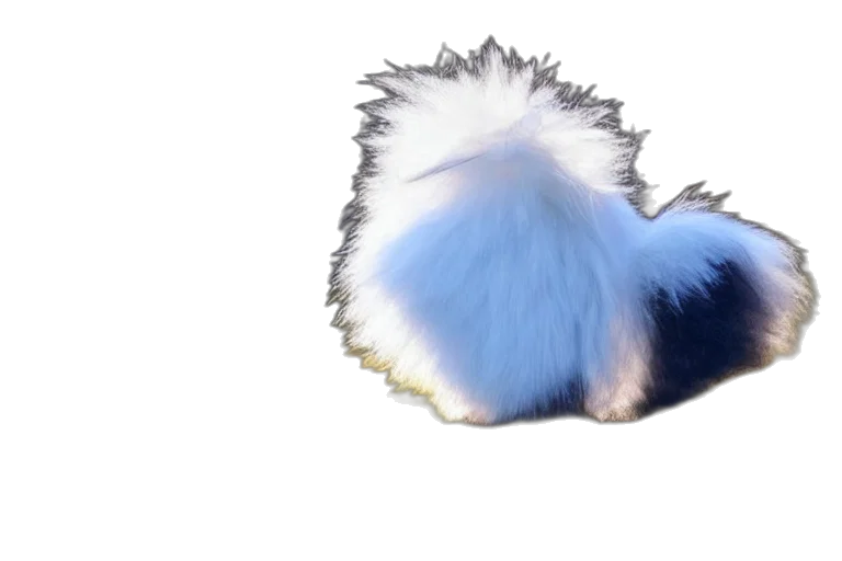 hair, animal, creature, dragon transparent PNG cut-out