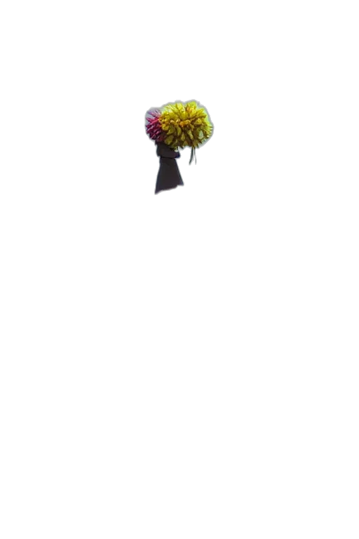 tree, umbrella, crown, flower transparent PNG cut-out