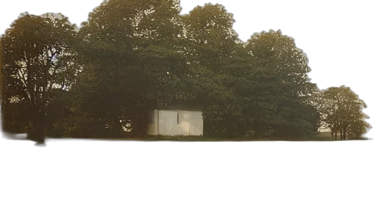 tree, building, bottle, furniture transparent PNG cut-out