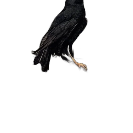 animal, creature, staff, dress transparent PNG cut-out