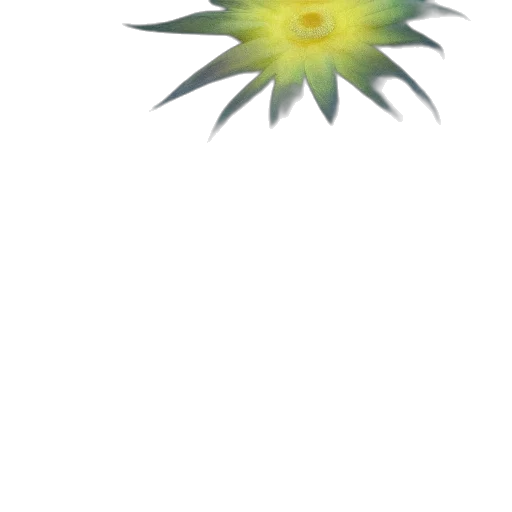 flower, staff, weapon, crown transparent PNG cut-out