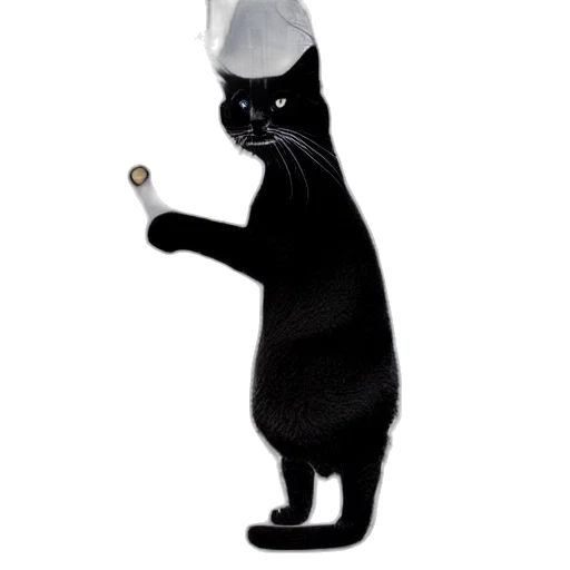 hat, staff, umbrella, food transparent PNG cut-out