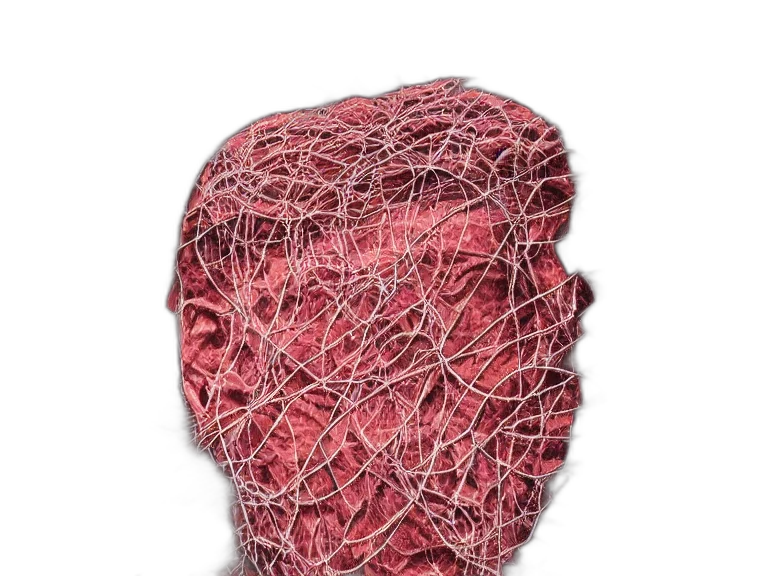 mask, hair, face, hat transparent PNG cut-out