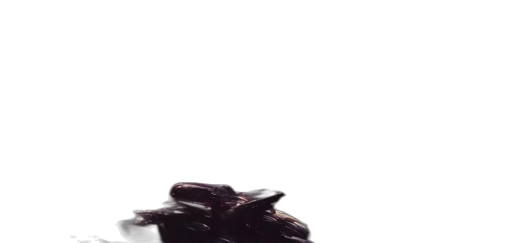shoes, dragon, car, food transparent PNG cut-out