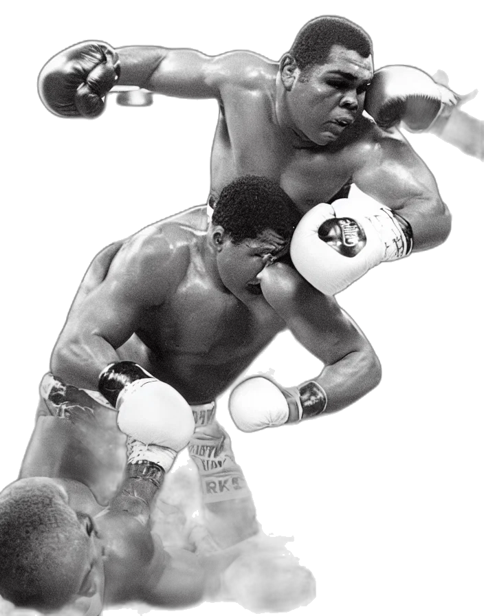 photorealistic, concept art, boxing, match transparent PNG cut-out