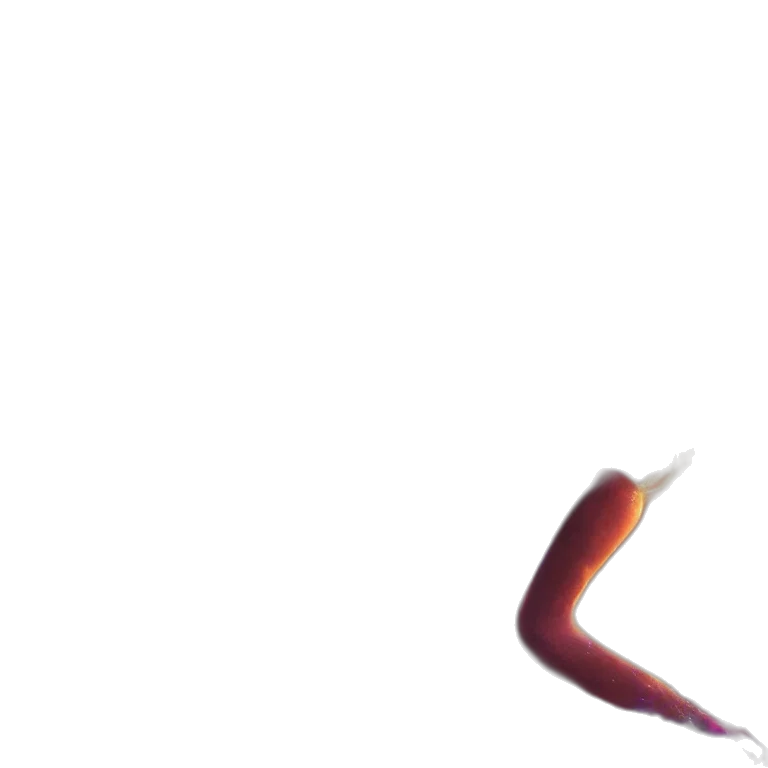 dragon, staff, weapon, sword transparent PNG cut-out