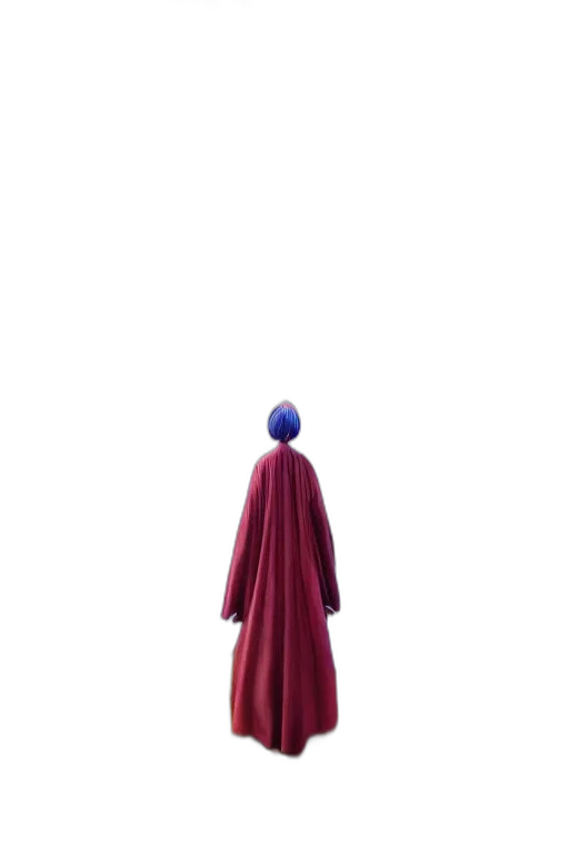 dress, jacket, staff, umbrella transparent PNG cut-out