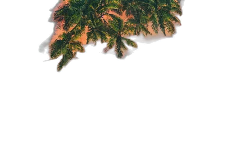 tree, hair, crown, hat transparent PNG cut-out