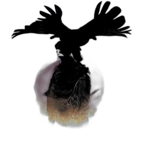 crown, jewelry, animal, hair transparent PNG cut-out