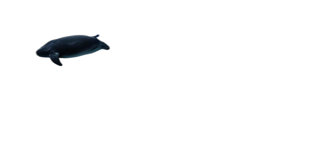 animal, staff, weapon, umbrella transparent PNG cut-out