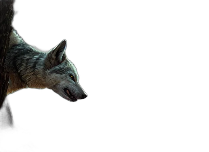 animal, creature, mask, face transparent PNG cut-out