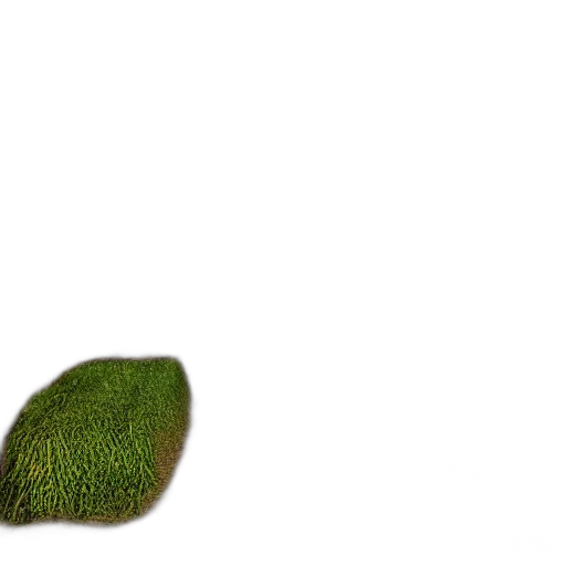 hat, hair, tree, shoes transparent PNG cut-out