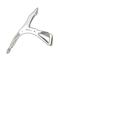 jewelry, sword, staff, weapon transparent PNG cut-out