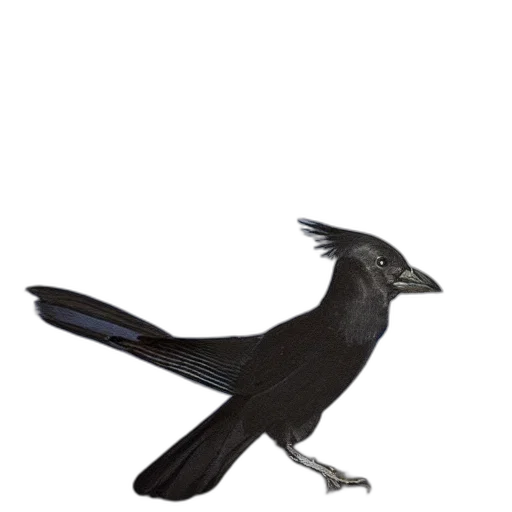 animal, staff, creature, weapon transparent PNG cut-out