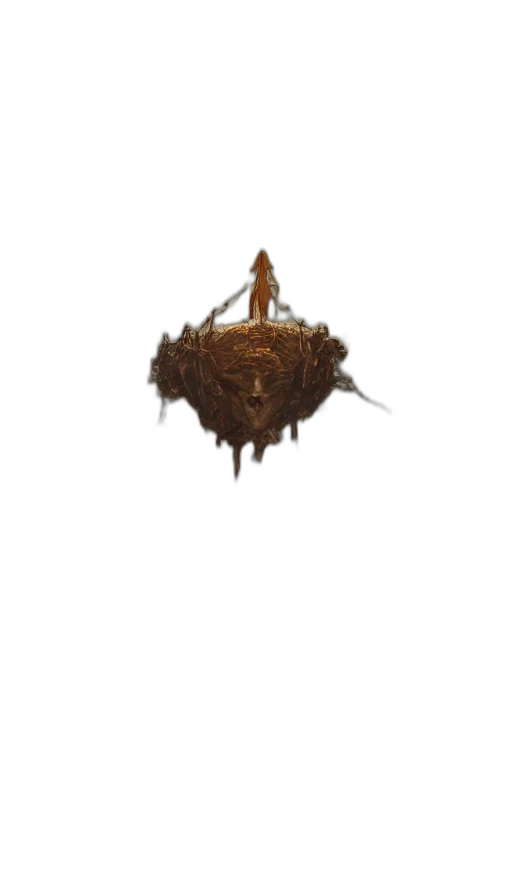 hair, crown, creature, food transparent PNG cut-out