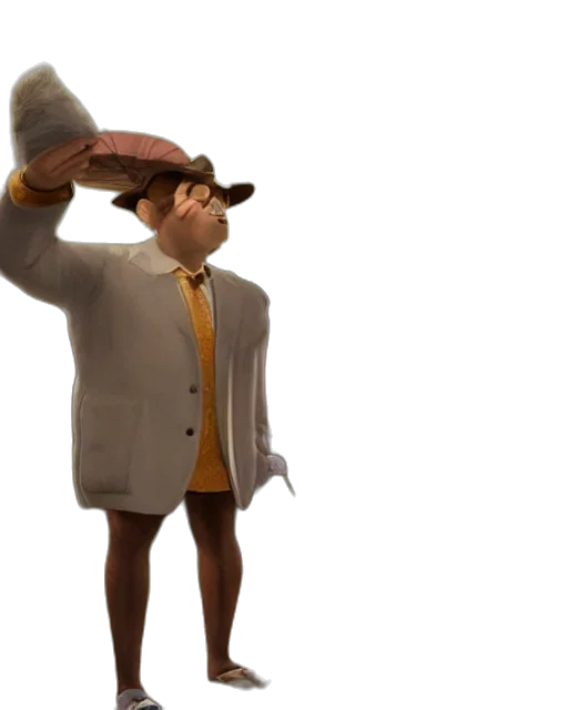 hat, jacket, staff, dress transparent PNG cut-out