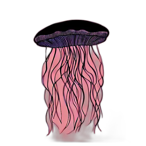 hat, hair, dress, crown transparent PNG cut-out