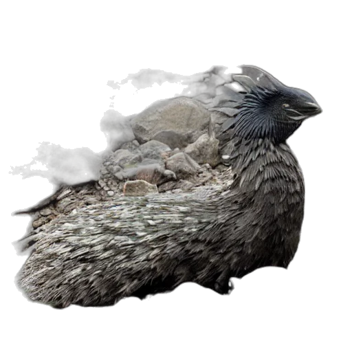 dragon, animal, creature, crown transparent PNG cut-out
