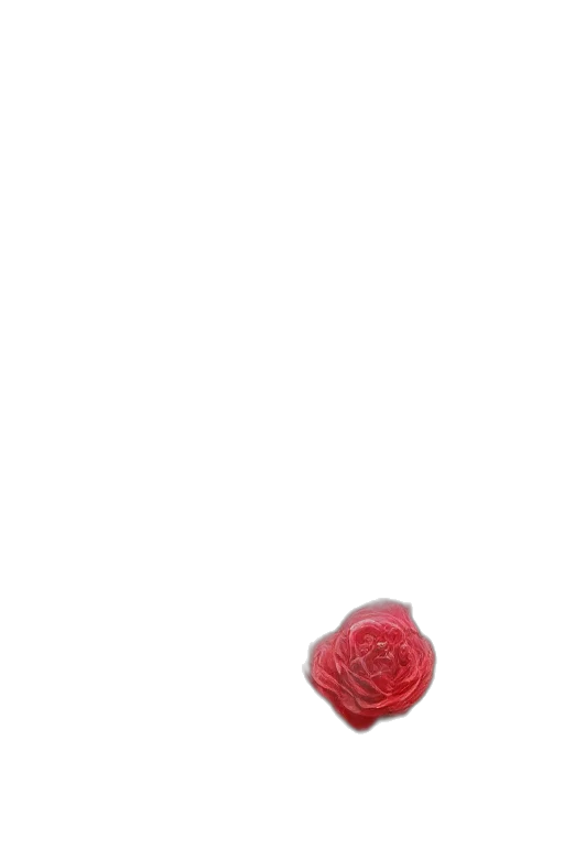 flower, jewelry, food, crown transparent PNG cut-out
