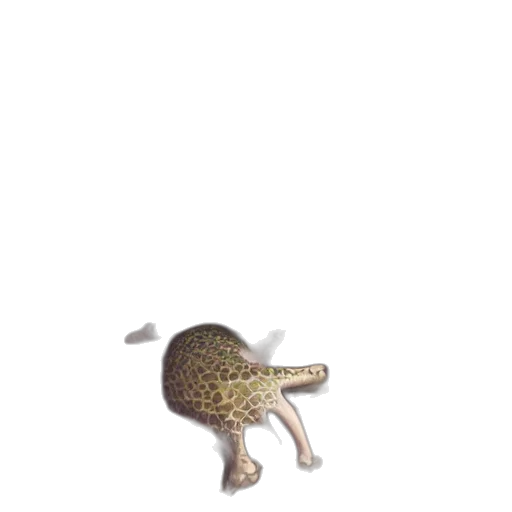 animal, creature, hat, dragon transparent PNG cut-out