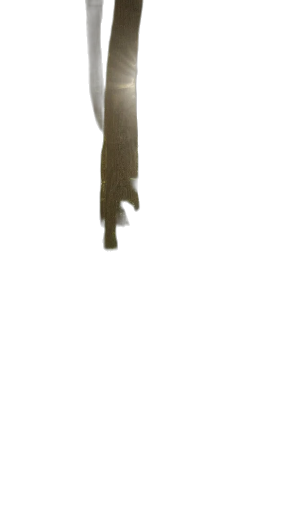 staff, weapon, mask, sword transparent PNG cut-out