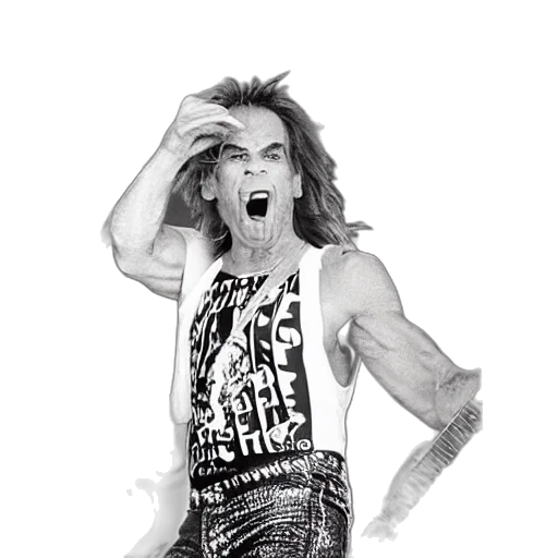 hair, animal, david, lee transparent PNG cut-out