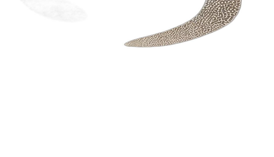 shoes, hat, jewelry, staff transparent PNG cut-out