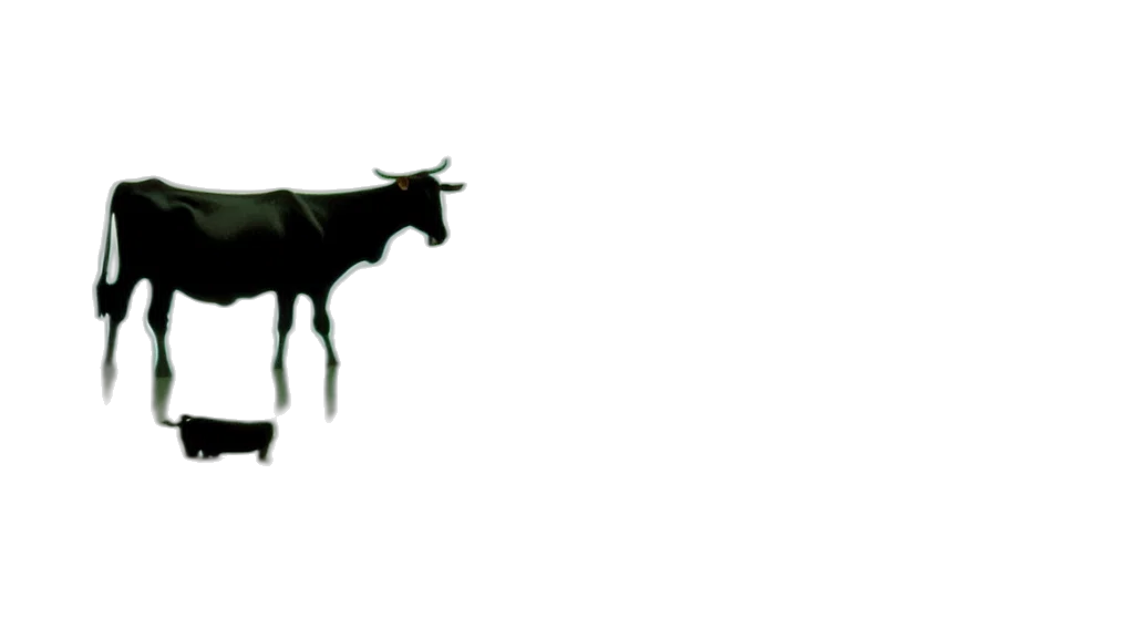 animal, weapon, creature, food transparent PNG cut-out