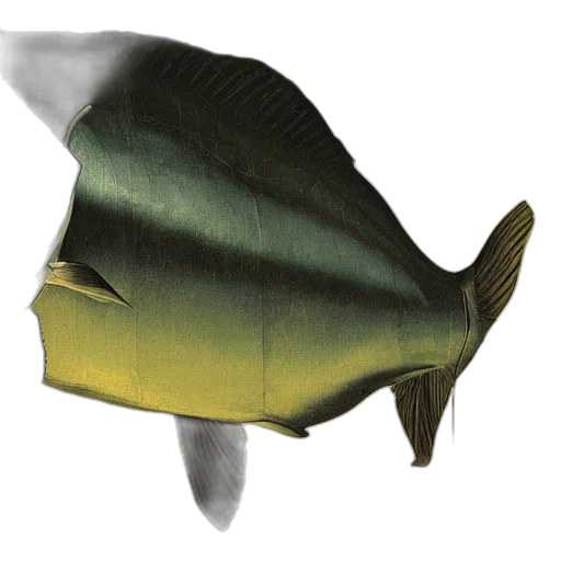 animal, mask, hat, food transparent PNG cut-out
