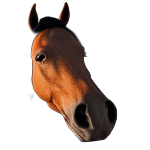 animal, face, hat, mask transparent PNG cut-out
