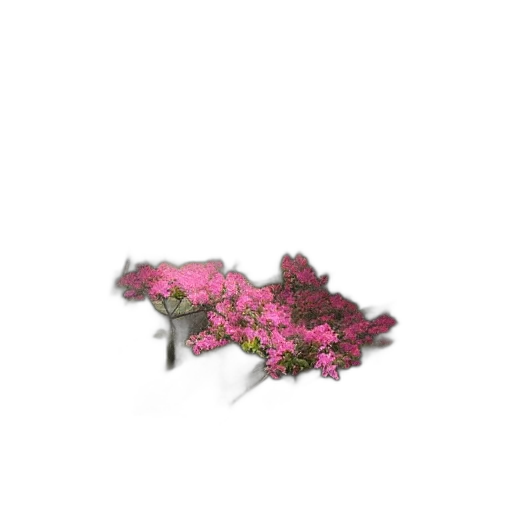 flower, animal, dragon, crown transparent PNG cut-out