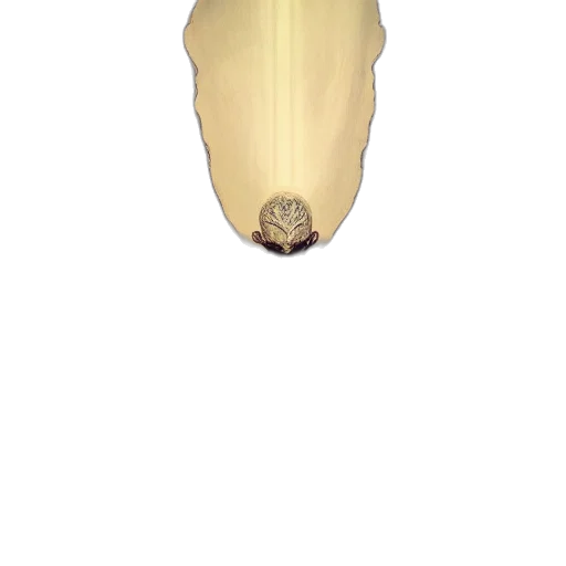 flower, hat, crown, hair transparent PNG cut-out