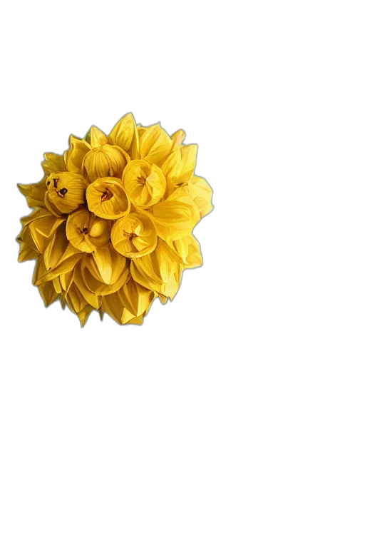 flower, crown, jewelry, staff transparent PNG cut-out
