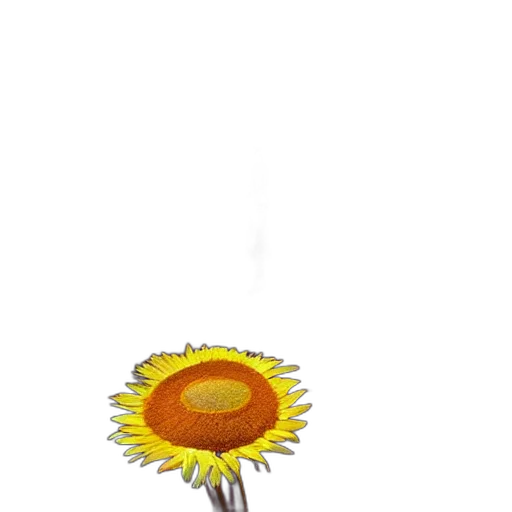 flower, umbrella, staff, crown transparent PNG cut-out