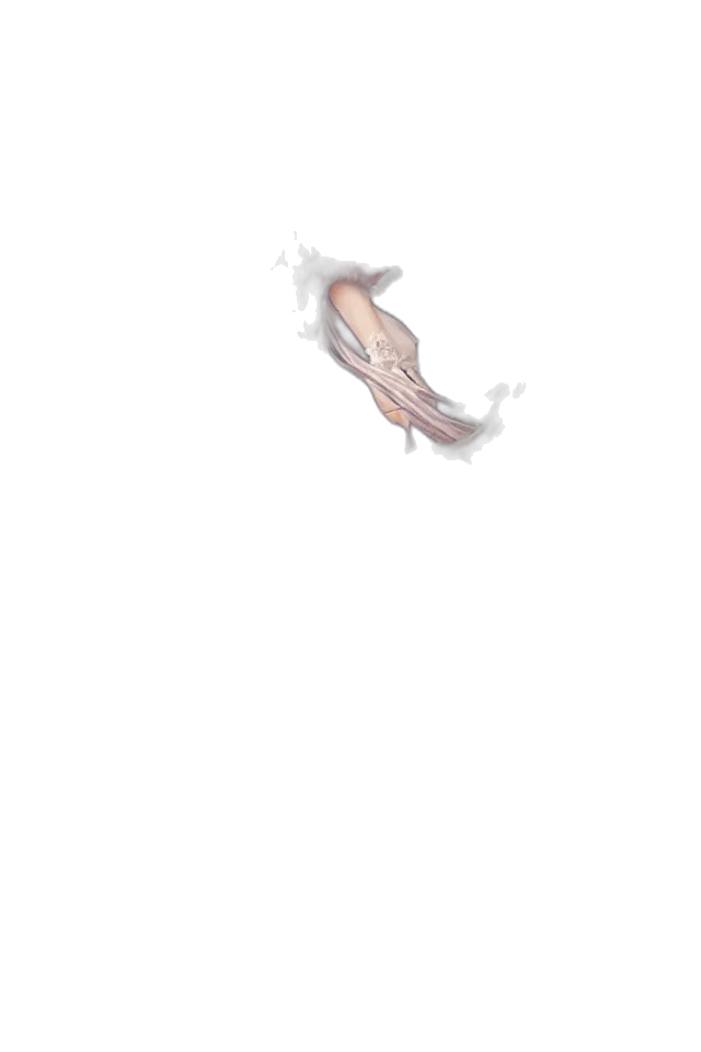 shoes, hair, creature, dress transparent PNG cut-out