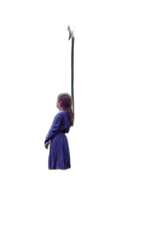 staff, umbrella, sword, weapon transparent PNG cut-out
