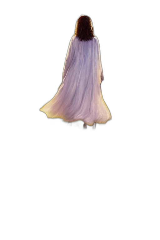 dress, hair, creature, crown transparent PNG cut-out
