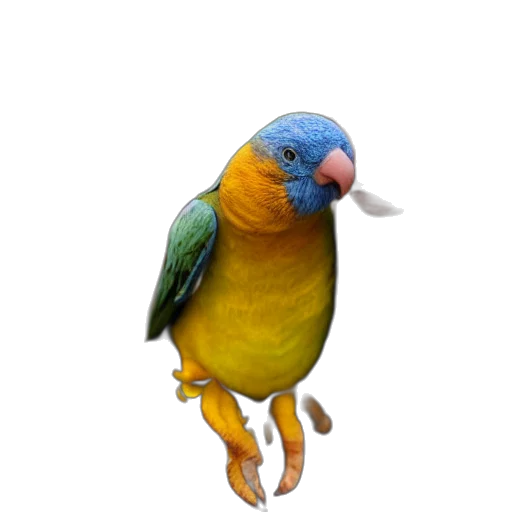 animal, staff, jewelry, creature transparent PNG cut-out