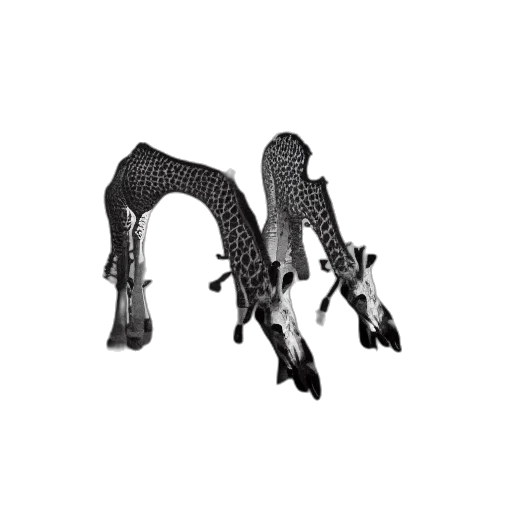 weapon, animal, shoes, staff transparent PNG cut-out