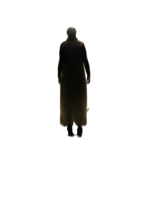 dress, jacket, staff, mask transparent PNG cut-out