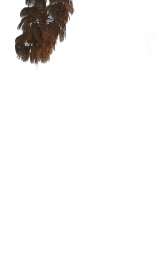 hair, staff, hat, animal transparent PNG cut-out