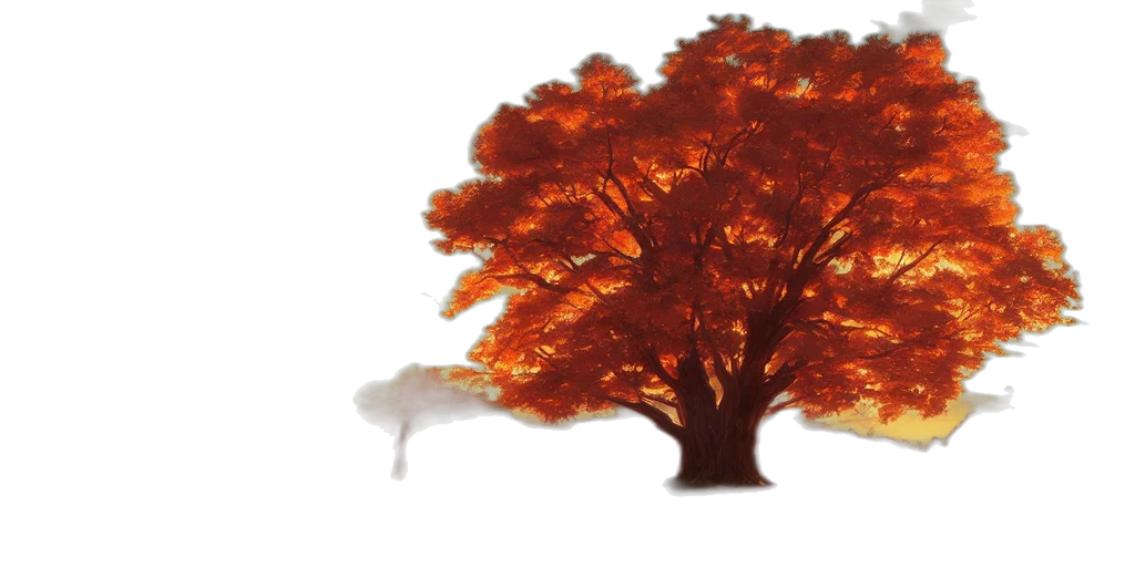 tree, crown, hair, animal transparent PNG cut-out