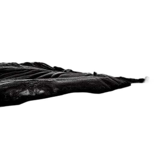 dragon, hair, shoes, sword transparent PNG cut-out