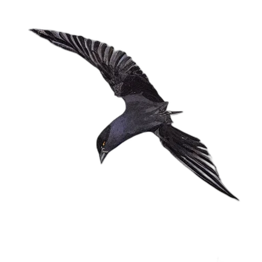 animal, staff, weapon, creature transparent PNG cut-out