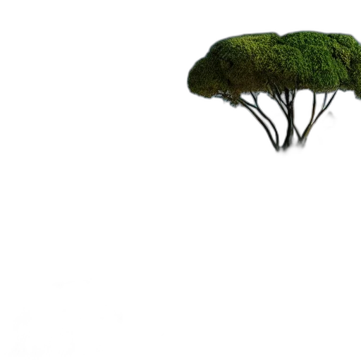 tree, hair, creature, hat transparent PNG cut-out