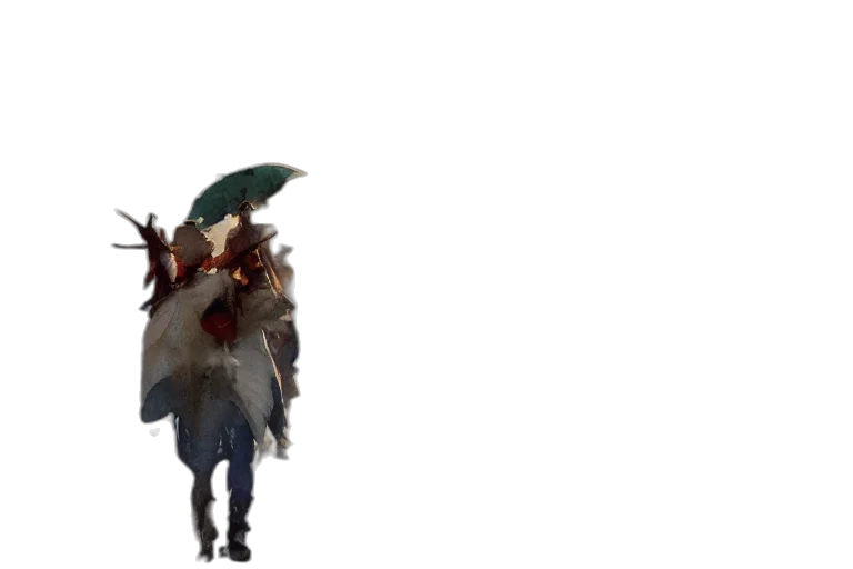umbrella, staff, hat, sword transparent PNG cut-out