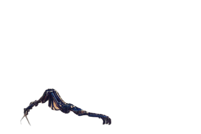 staff, creature, dragon, hair transparent PNG cut-out