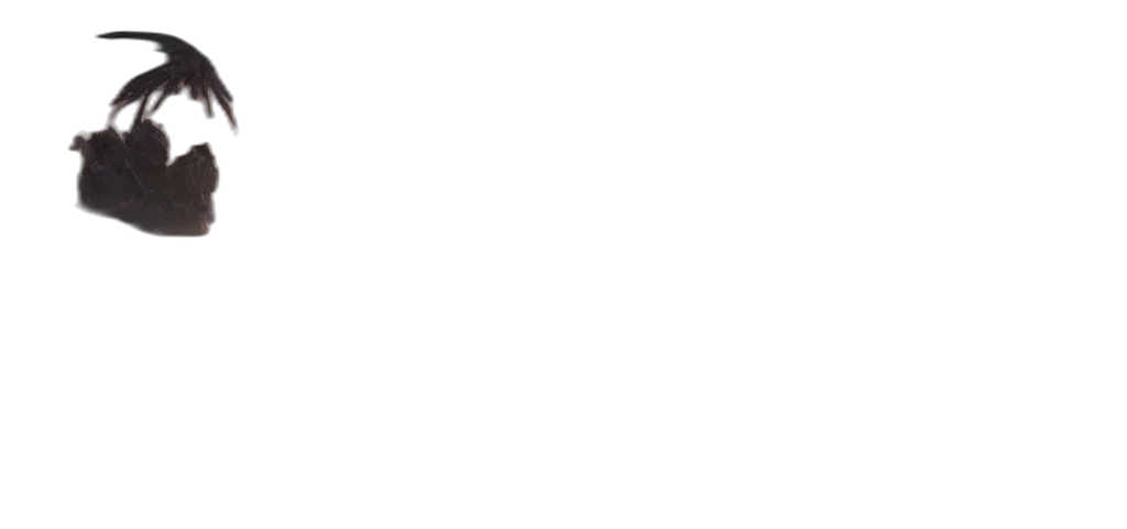 staff, face, monochrome, pastel transparent PNG cut-out