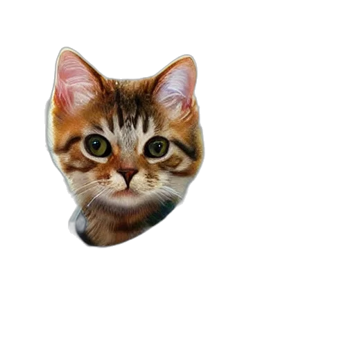 animal, face, staff, hat transparent PNG cut-out