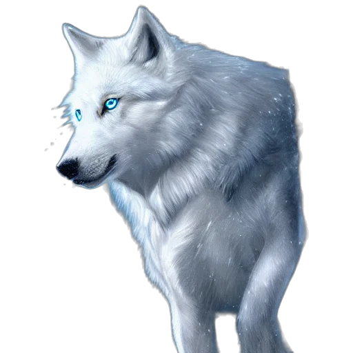 animal, creature, face, fantasy art transparent PNG cut-out